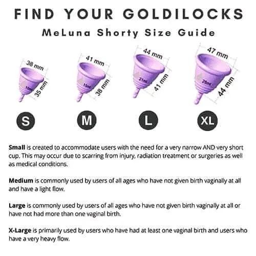BLUE Menstrual Cup Kit - Microwave Disinfection