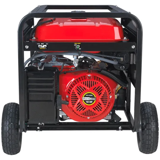 DuroStar DS10000EH 8000W/10000W Dual Fuel Electric Start Generator New