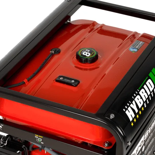 DuroStar DS10000EH 8000W/10000W Dual Fuel Electric Start Generator New