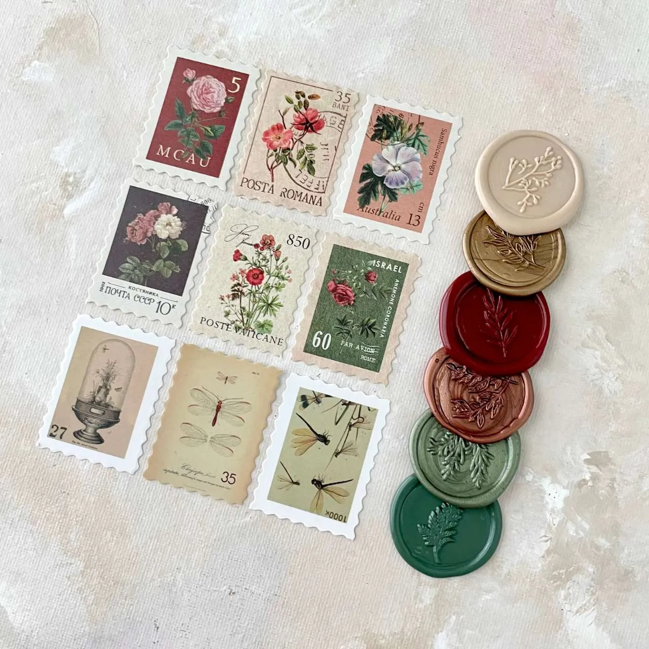 Fall Terracotta & Olive Styling Kit