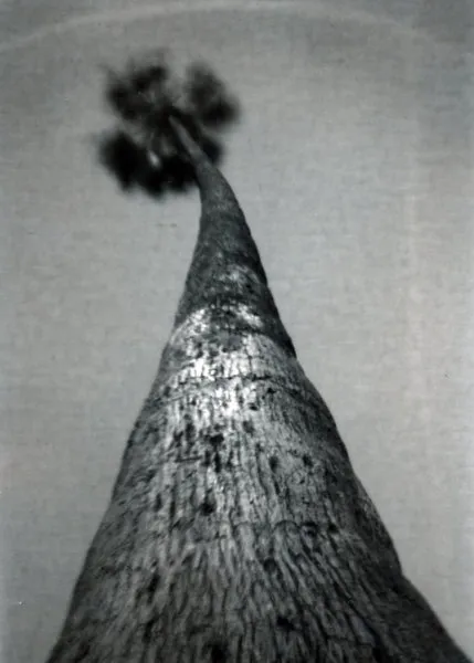 LegacyPro / Paint Can Pinhole Camera