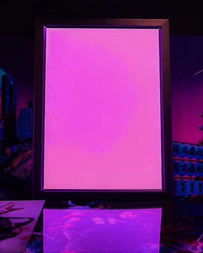 Lightbox Frame (16x24 in) RGB Lightbox With Remote