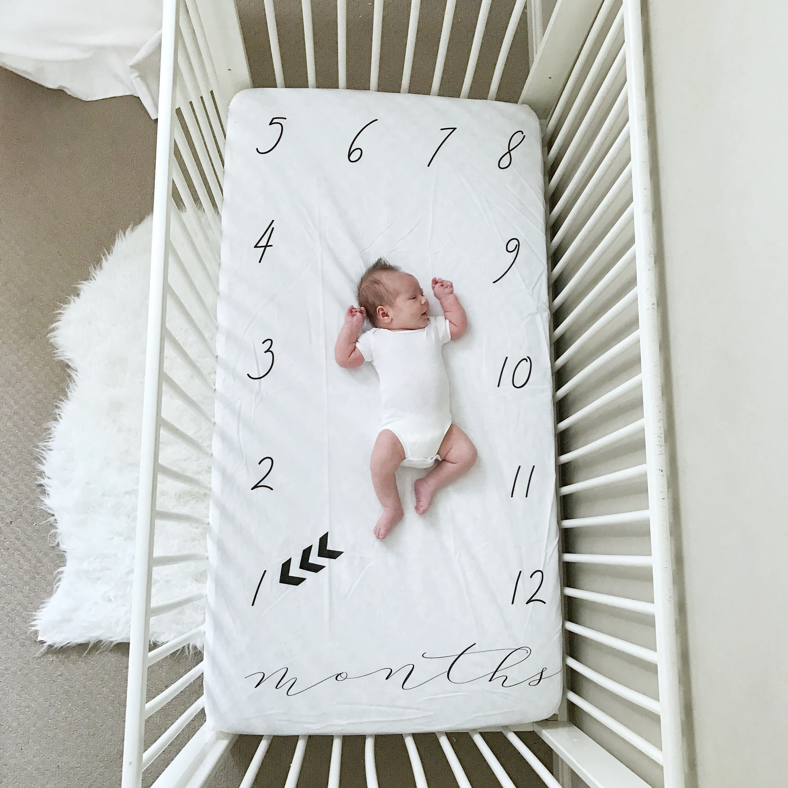 MILESTONE CRIB SHEET