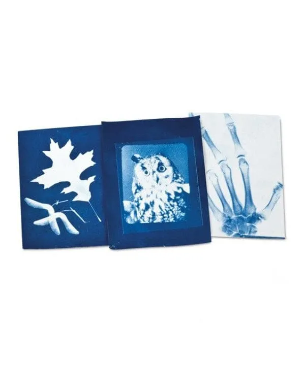 Sunography Paper Cards