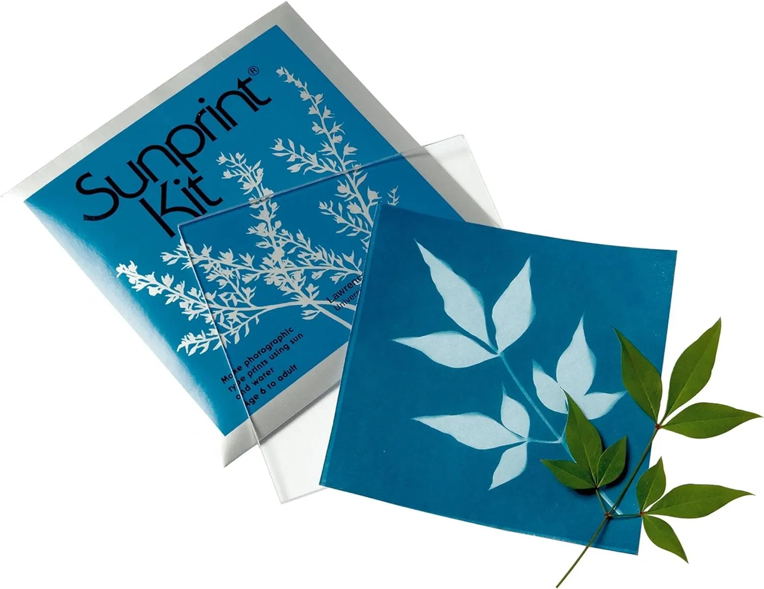 Sunprint / Cyanotype Kit