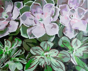 Sweet Succulent by Violet Van Gogh