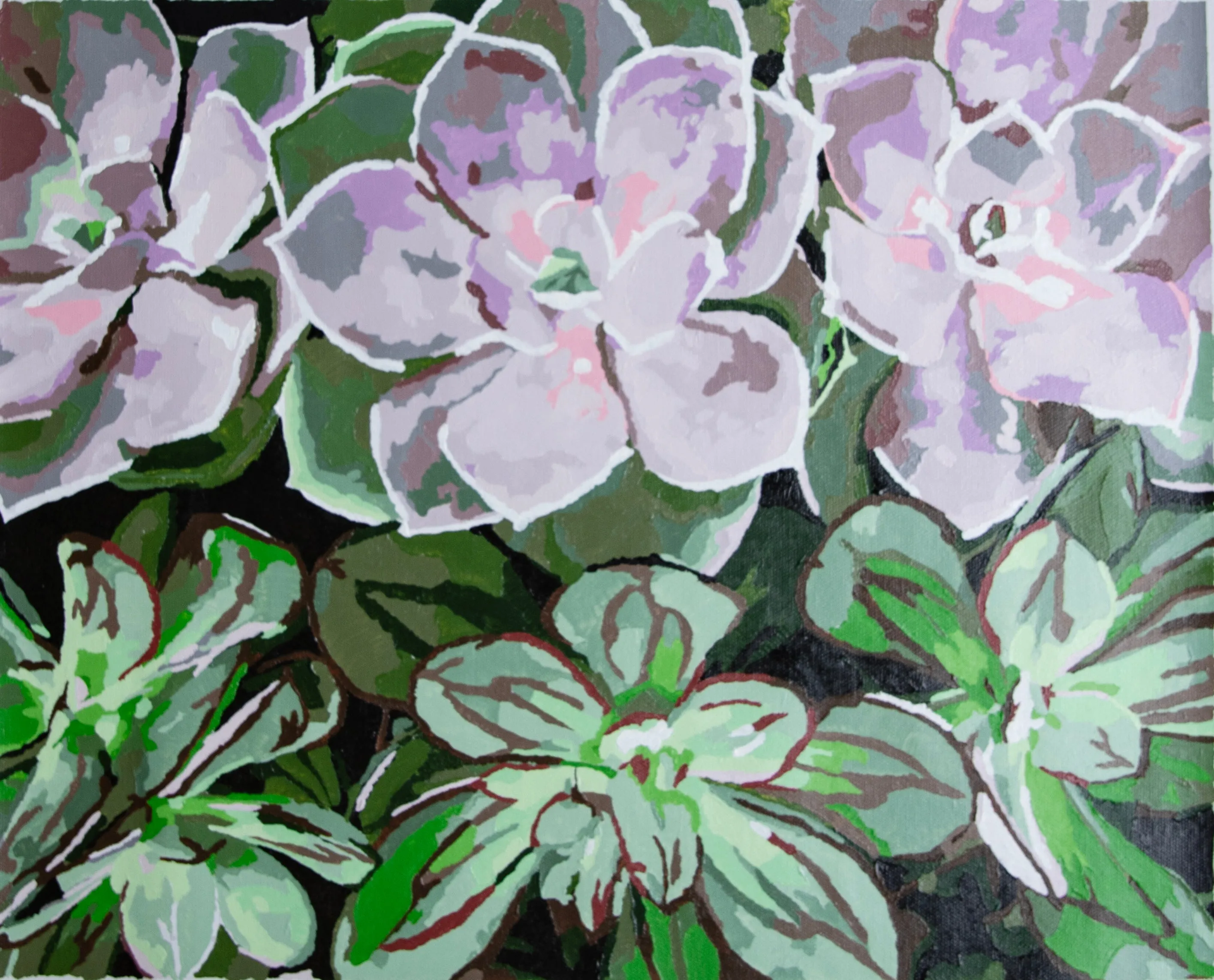 Sweet Succulent by Violet Van Gogh